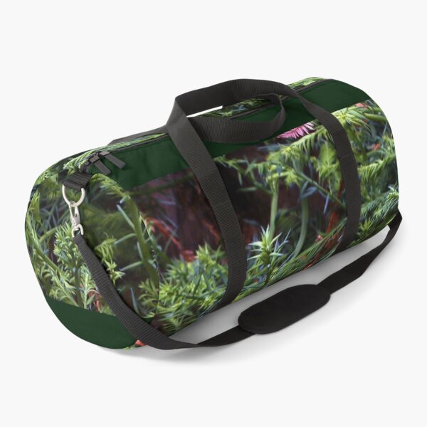 Item preview, Guerneville Redwood Sprouts designed and sold by Photos by Michael J. Mesmer.