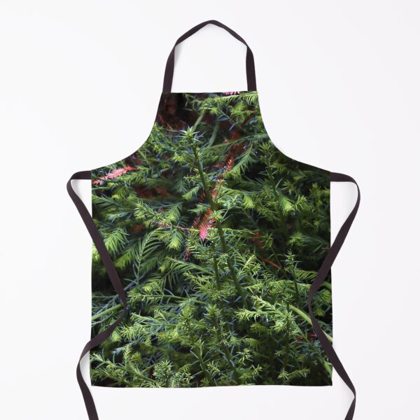 Item preview, Guerneville Redwood Sprouts designed and sold by Photos by Michael J. Mesmer.