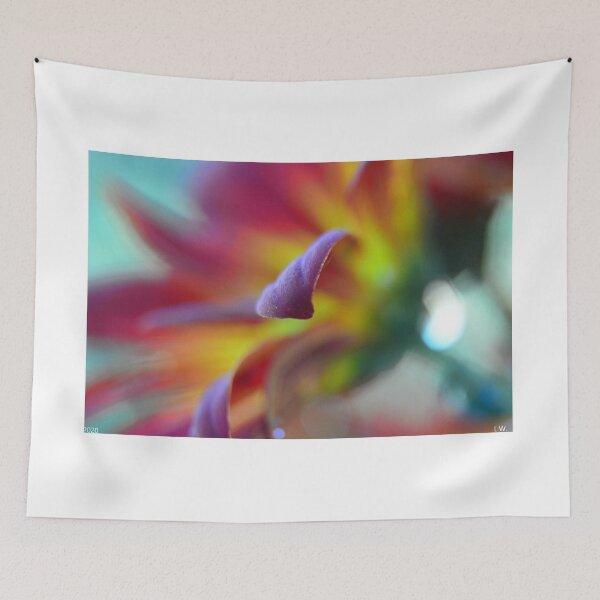Item preview, Chrysanthemum Softness designed and sold by LisaWootenPhoto.