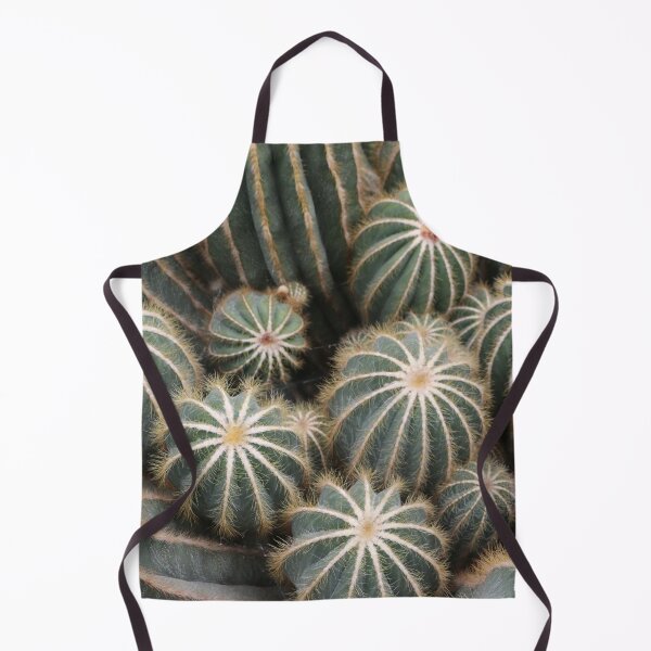 Item preview, Cacti at the Serres d'Auteuil Botanical Gardens designed and sold by Photos by Michael J. Mesmer.