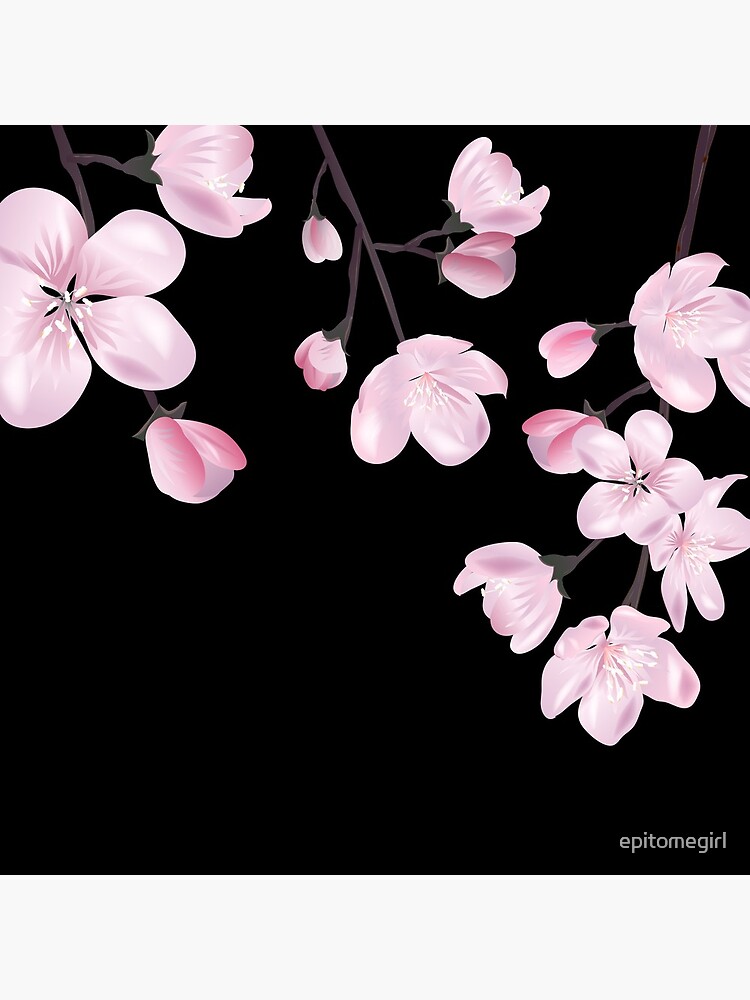 Japanese Pink Cherry Blossom Sakura Flower Black Background Tote Bag