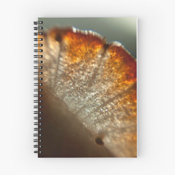 Item preview, Strawberry Cells  designed and sold by rachelcphotoart.