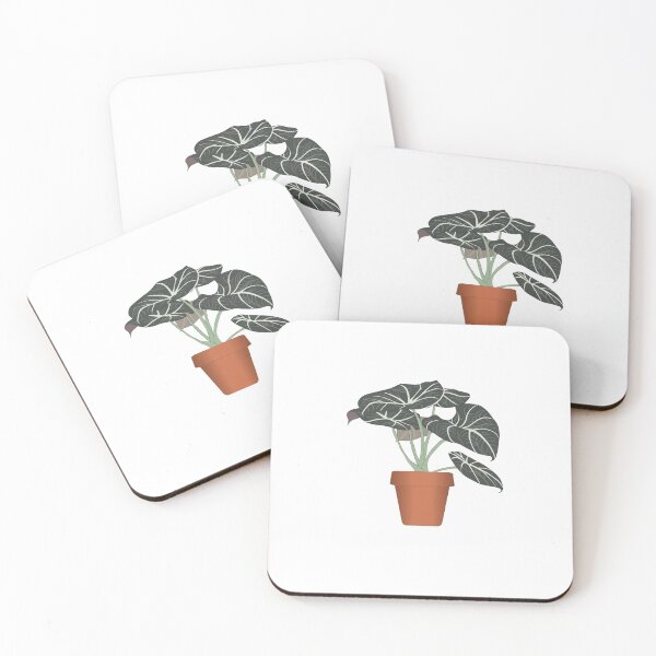 Item preview, Houseplant - Alocasia Black Velvet designed and sold by keplants.