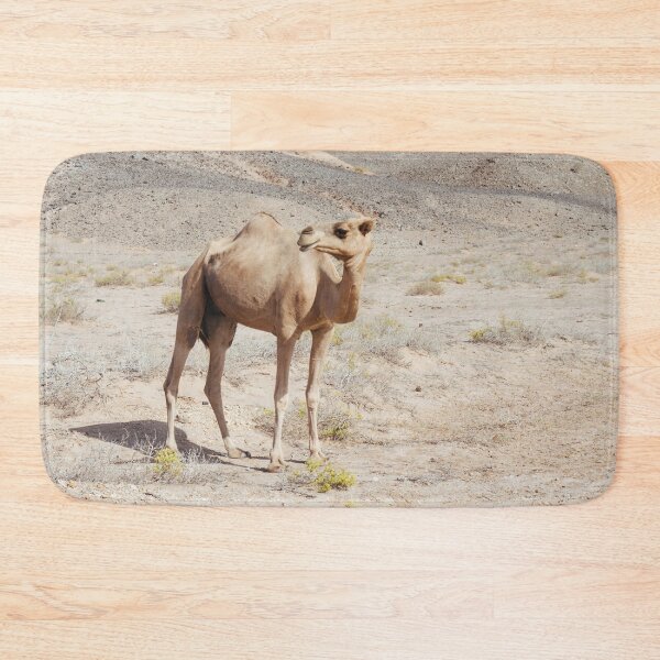 Item preview, Camel / Dromedary in the Desert of Oman designed and sold by Carrie Lyman Photography.