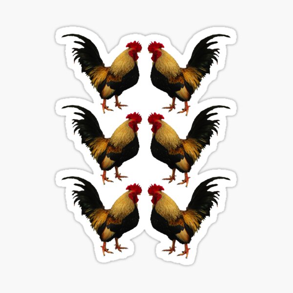Temple Rooster ~ Sticker