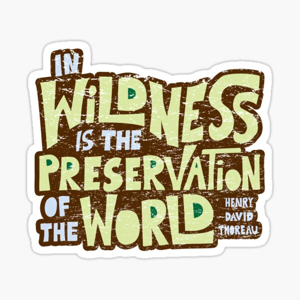 Thoreau's Wildness (scratched) Sticker