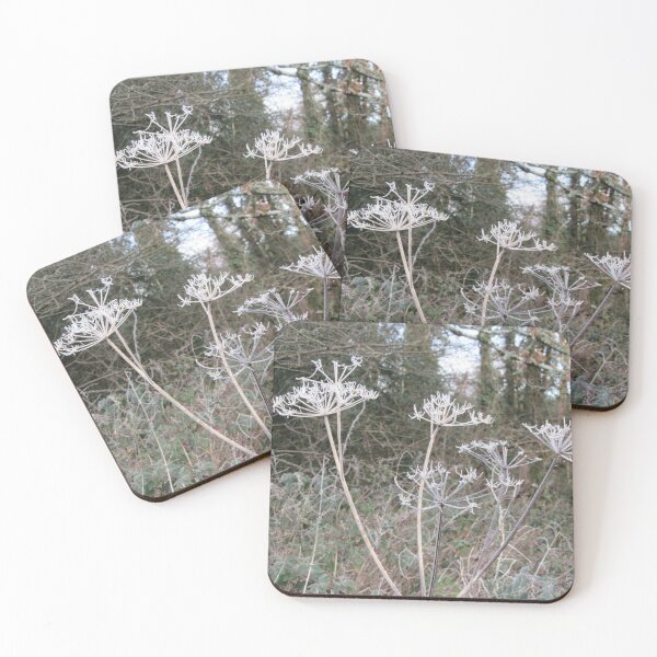 Item preview, Cow Parsley Skeletons On A Cold And Frosty Morning designed and sold by lezvee.