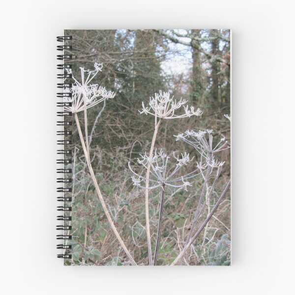 Item preview, Cow Parsley Skeletons On A Cold And Frosty Morning designed and sold by lezvee.
