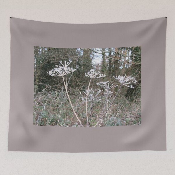 Item preview, Cow Parsley Skeletons On A Cold And Frosty Morning designed and sold by lezvee.