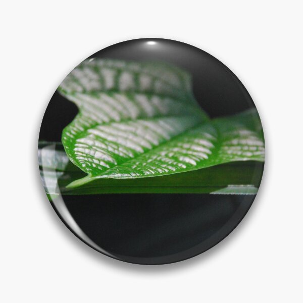 Item preview, Leaf in sunshine designed and sold by swan2sky.