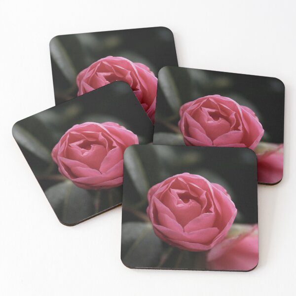 Item preview, Pink Rose  designed and sold by Shanna  Bowden.