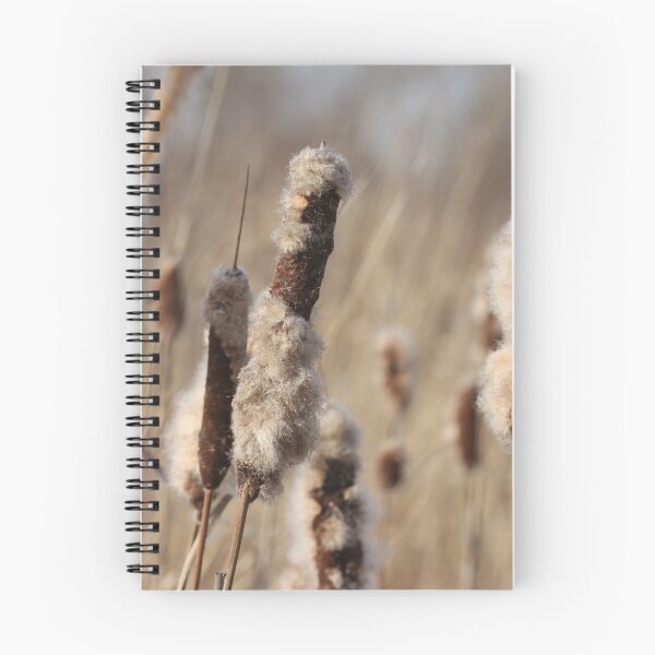 Item preview, Dried Cattail designed and sold by mrivserg.