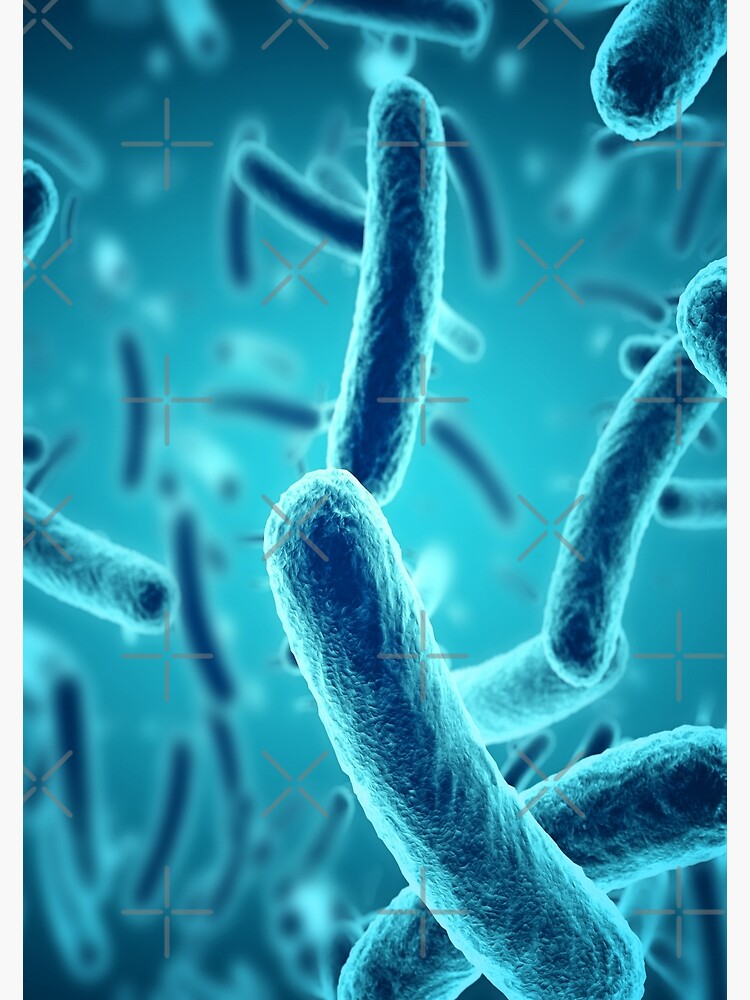 "BACTERIA SLIDE MICROSCOPIC Biology Science Illustration..Microbiology