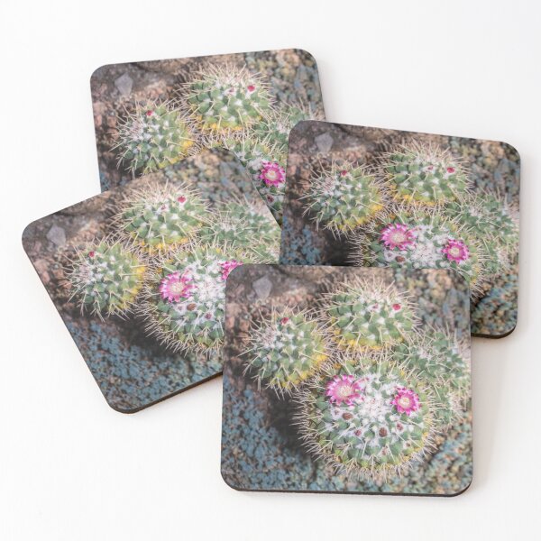Item preview, cacti blooming with small pink flowers designed and sold by nataliavavilina.
