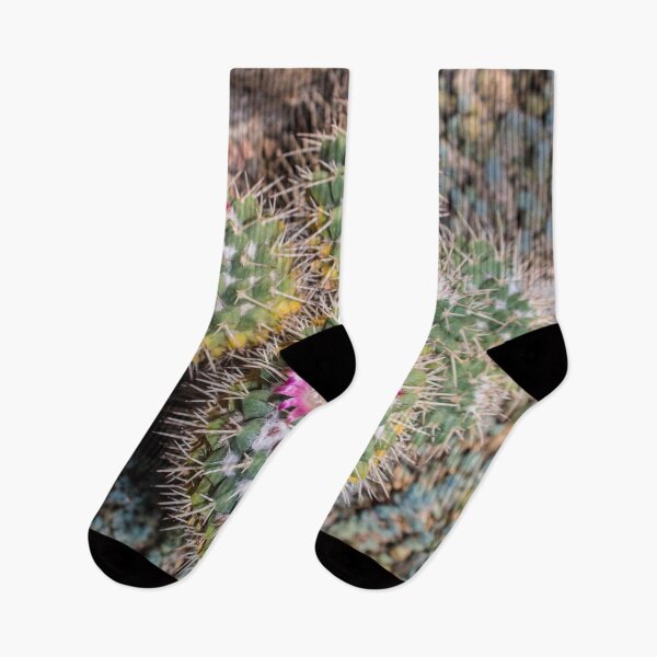 Item preview, cacti blooming with small pink flowers designed and sold by nataliavavilina.
