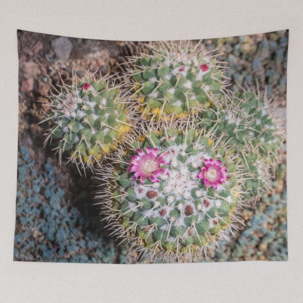 Item preview, cacti blooming with small pink flowers designed and sold by nataliavavilina.