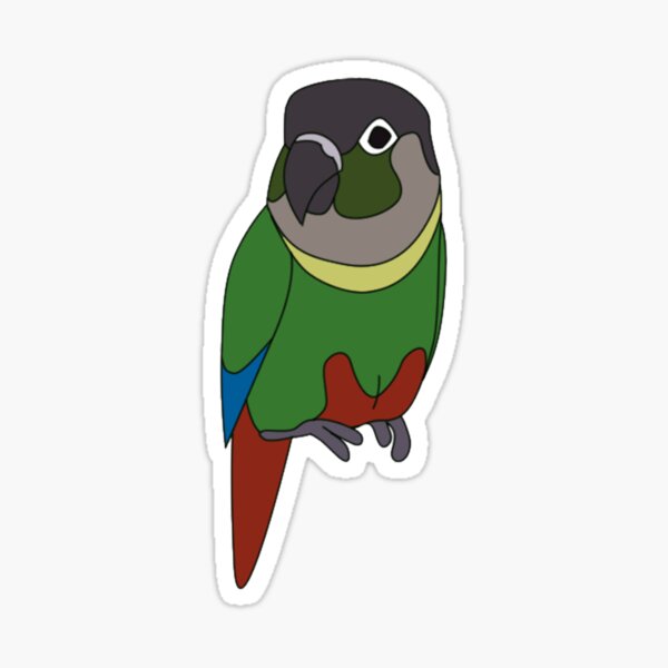 Conure Stickers Sticker