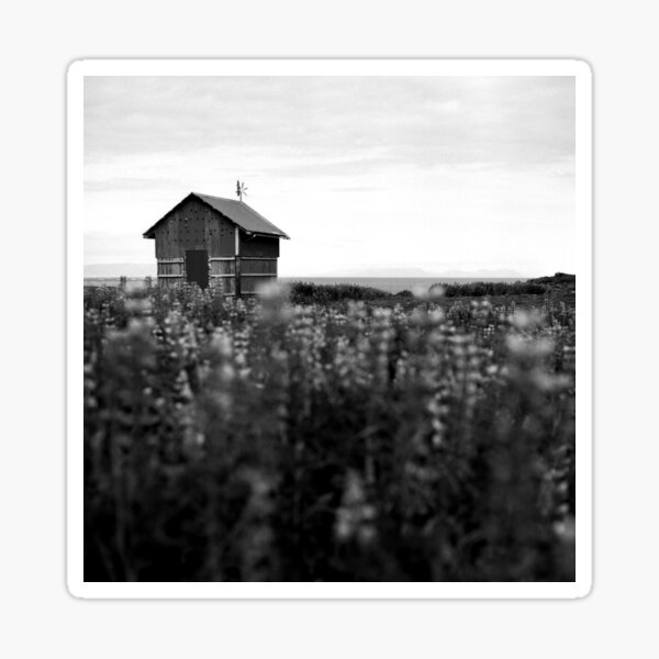 Little house in the lupins Sticker