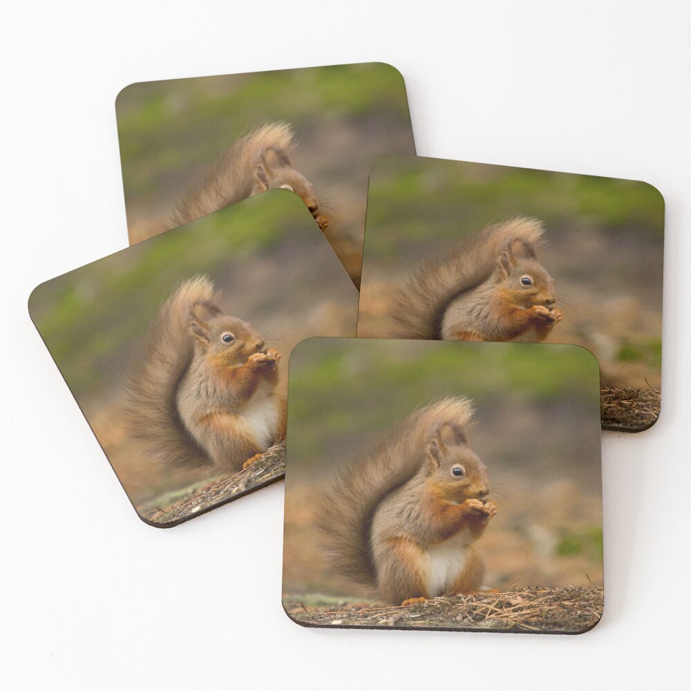 Item preview, Coasters (Set of 4) designed and sold by FXST.