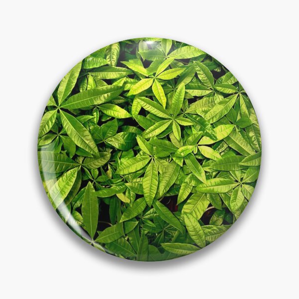 Item preview, Money Plant  designed and sold by Jason Tompkins.