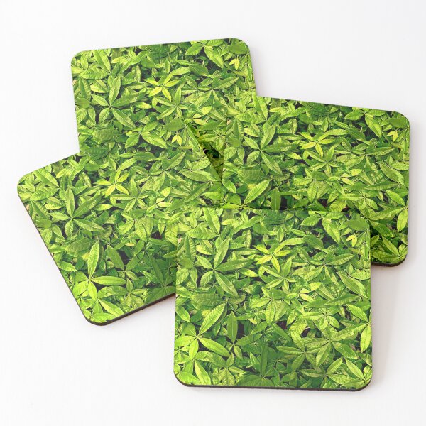 Item preview, Money Plant  designed and sold by Jason Tompkins.