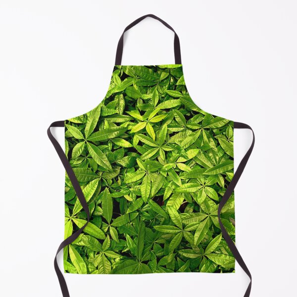Item preview, Money Plant designed and sold by Jason Tompkins.