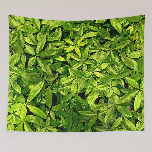 Item preview, Money Plant  designed and sold by Jason Tompkins.