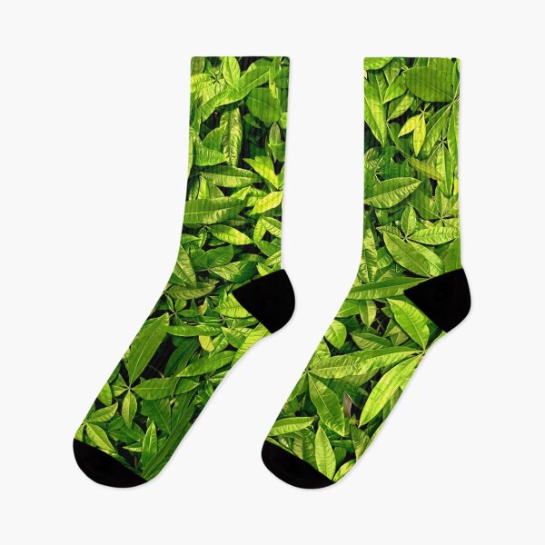 Item preview, Money Plant  designed and sold by Jason Tompkins.