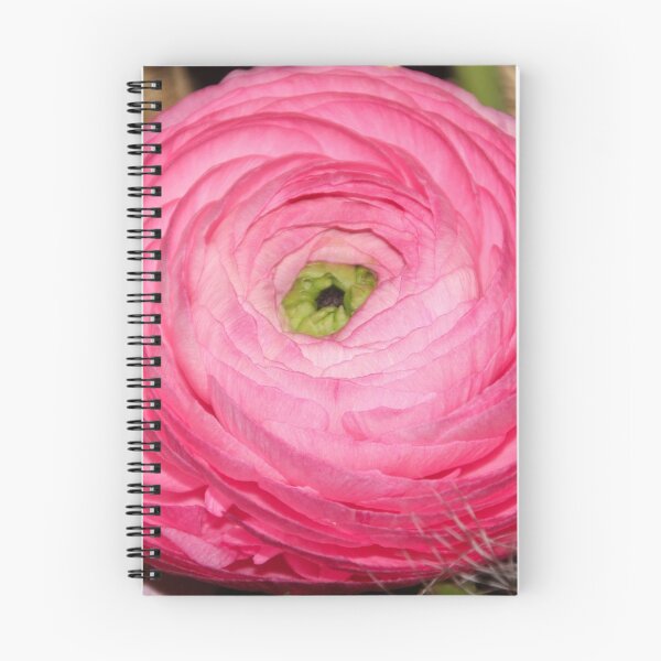 Item preview, Ranunculus designed and sold by vbk70.