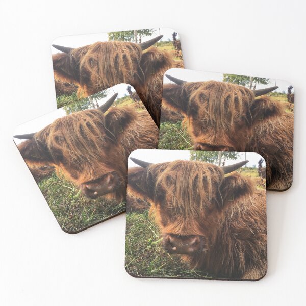 Item preview, Scottish Highland Cattle Calf 2088 designed and sold by SaarelaHighland.