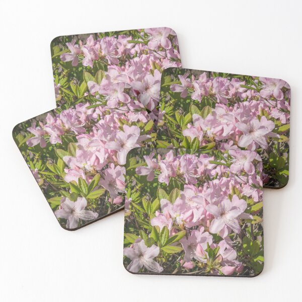 Item preview, many pink rhododendron flowers growing on the bush designed and sold by nataliavavilina.