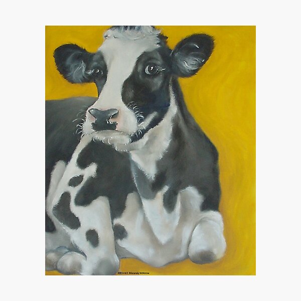 Cow Portrait Photographic Print