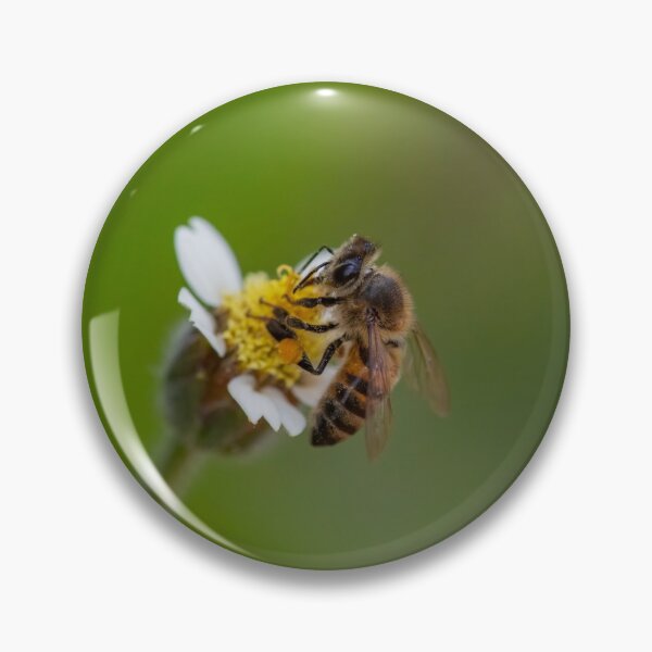 Item preview, bee on the daisies designed and sold by Philip-Marsden.
