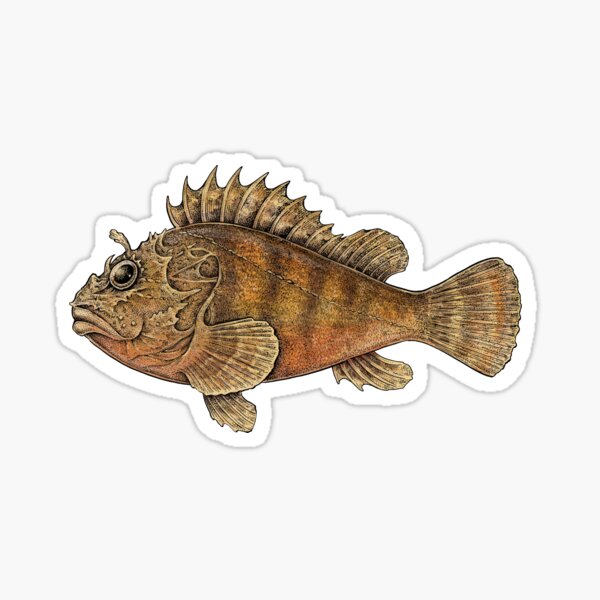 Scorpionfish Sticker