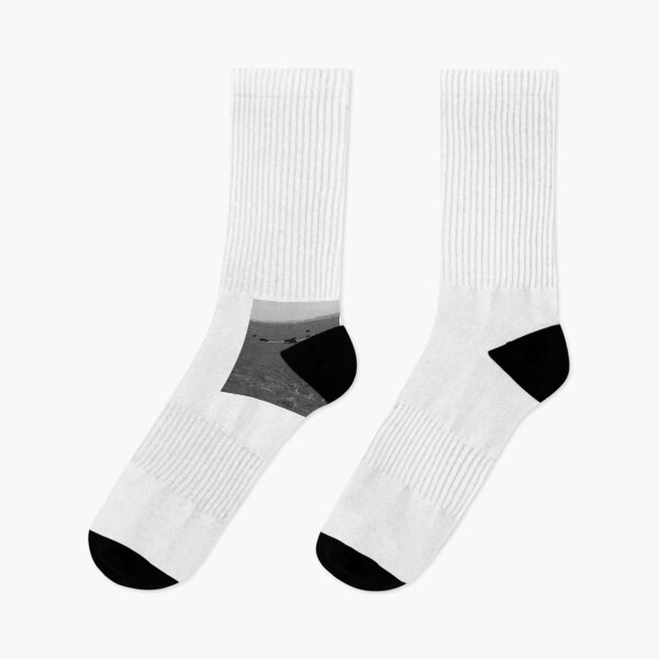 Item preview, Mendocino County Cows BW designed and sold by Igor Pozdnyakov.