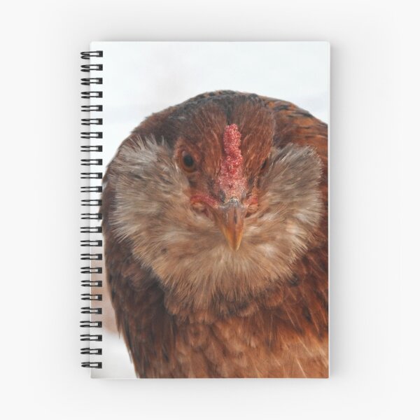 Item preview, Fluffy fuzzy chicken face  designed and sold by Stephanie  Skeem.
