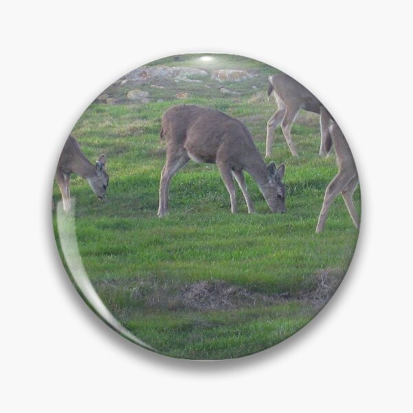 Item preview, Mendocino County Deers, California designed and sold by Igor Pozdnyakov.