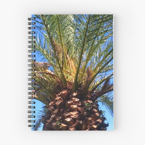 Item preview, Date Palm Tree designed and sold by BVCdesigns.