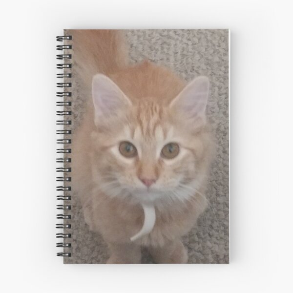 Item preview, Hungry kitty eyes designed and sold by Spicylady00.