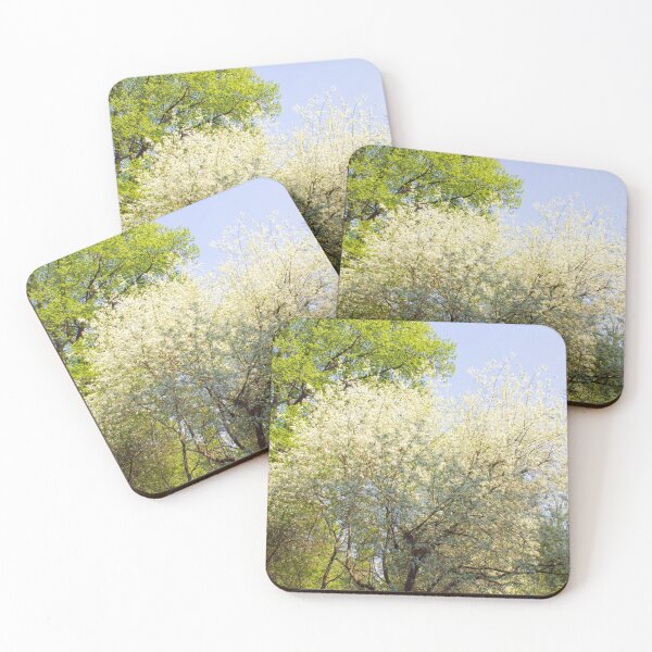 Item preview, spring blooming tree on a background of blue sky and a tree with soft green foliage designed and sold by nataliavavilina.