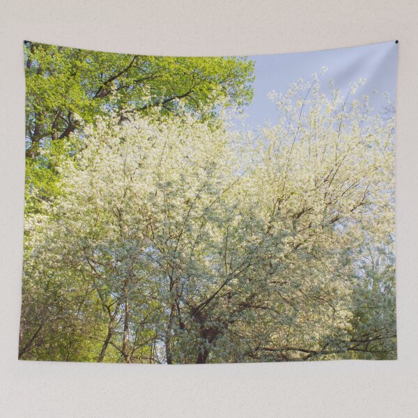 Item preview, spring blooming tree on a background of blue sky and a tree with soft green foliage designed and sold by nataliavavilina.