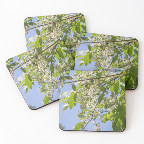 Item preview, spring cherry tree blooming with white flowers on a blue sky background designed and sold by nataliavavilina.