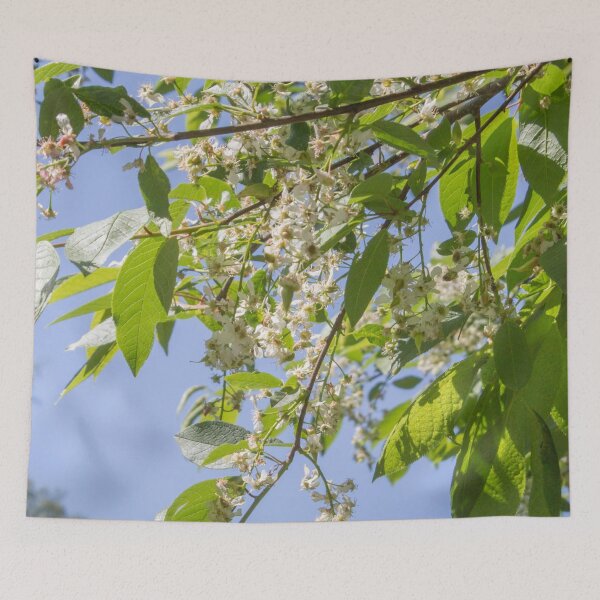 Item preview, spring cherry tree blooming with white flowers on a blue sky background designed and sold by nataliavavilina.