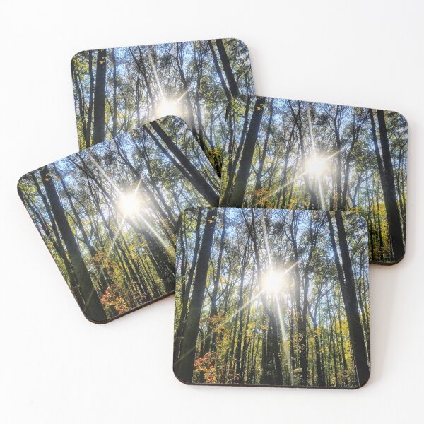Item preview, Sunny Forest designed and sold by Lexi Laios.