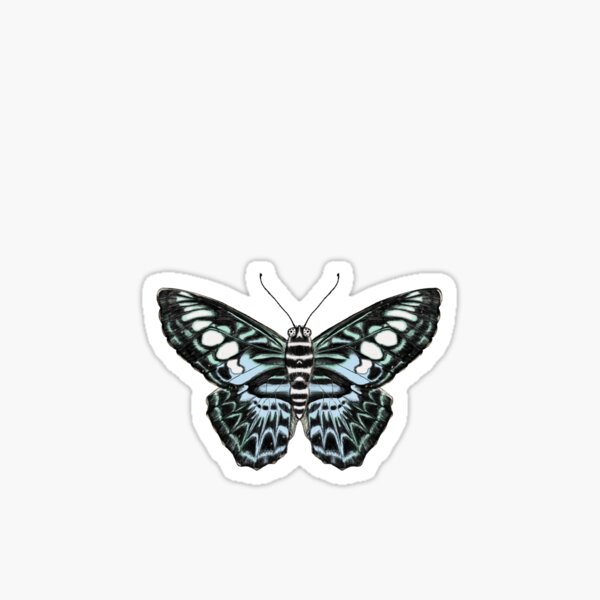 Blue Butterfly Sticker For Sale By Lo Inthemeadow Redbubble 0239