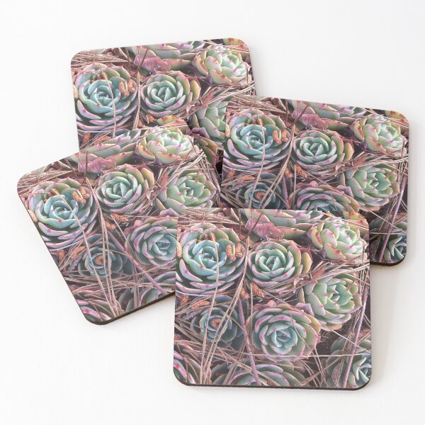 Item preview, Succulents & Needles designed and sold by Photos by Michael J. Mesmer.