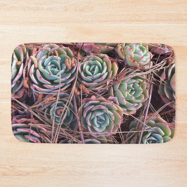 Item preview, Succulents & Needles designed and sold by Photos by Michael J. Mesmer.