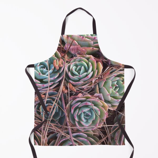 Item preview, Succulents & Needles designed and sold by Photos by Michael J. Mesmer.