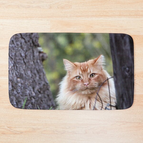Item preview, Feral Fluff designed and sold by Photos by Michael J. Mesmer.