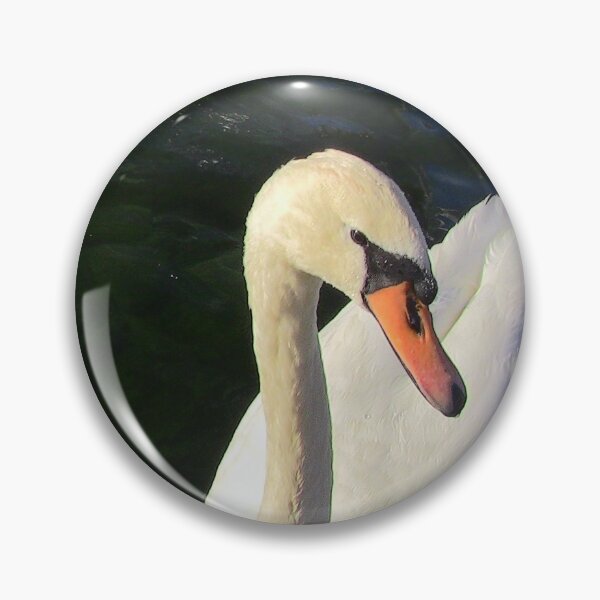 Item preview, Geneva Swan designed and sold by Photos by Michael J. Mesmer.